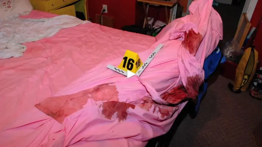 Gypsy Rose, murder scene